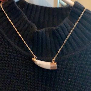 Copper chain & long horn necklace